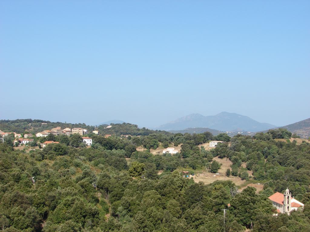 Le Gite Radica Eccica-Suarella  Habitación foto